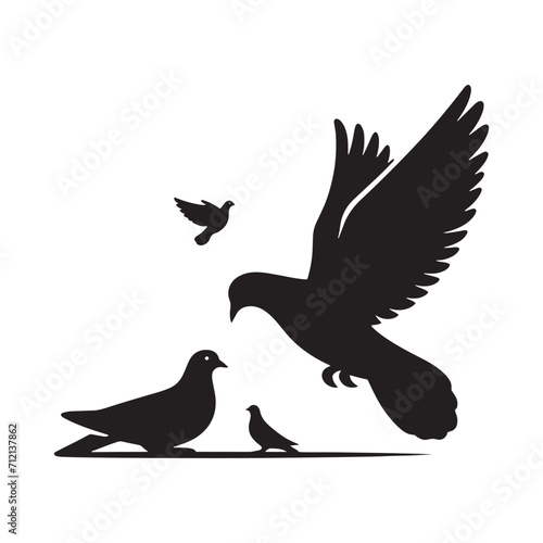 Tranquil Silhouettes  Pigeon Silhouette Set Capturing the Serenity of Birds in Flight - Beautiful Bird Silhouette - Pigeon Vector 