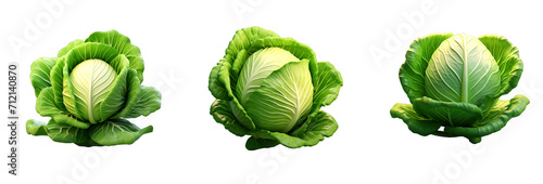 green cabbage vegetable isolated soft smooth lighting photo