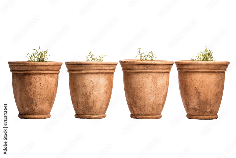 Pot Designs for Plants