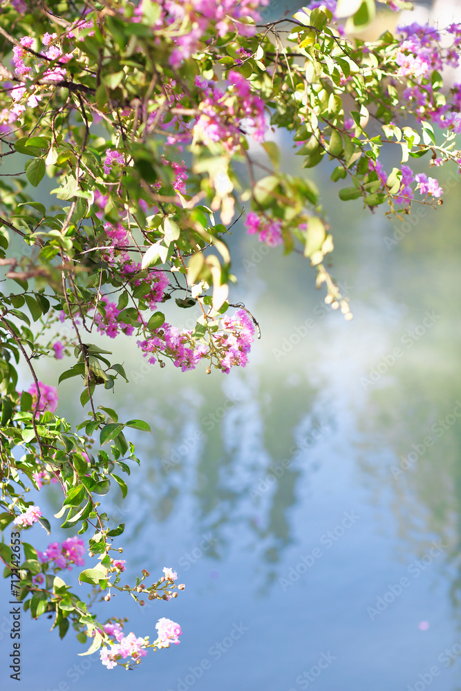 Blooming tree in the nature during spring by the lake