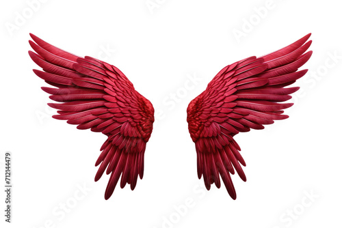 Beautiful Red Wings Isolated On Transparent Background