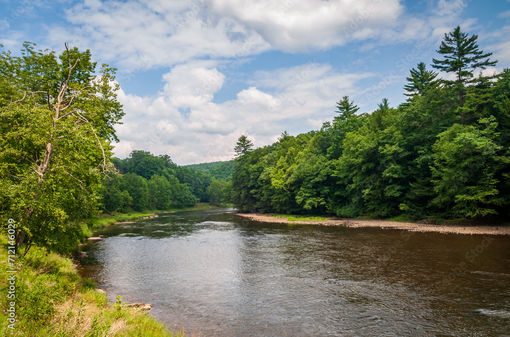 River at Cook Forest State Park and Clarion River Lands in scenic northwestern Pennsylvania