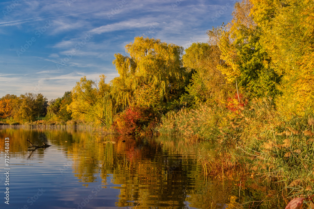 Trees and shrubs at a lakeshore in Autumn