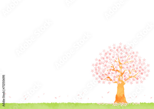 桜の木と草原の風景イラスト