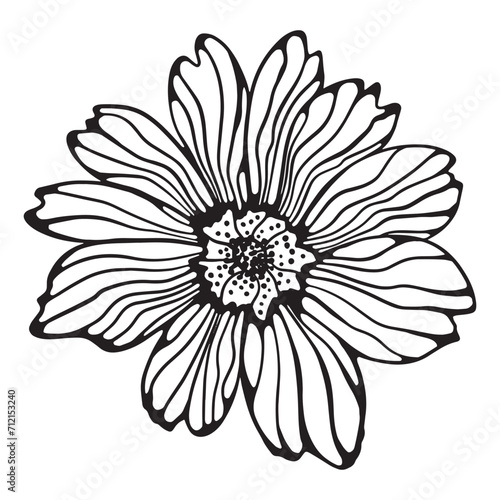 Fototapeta Naklejka Na Ścianę i Meble -  A hand-drawn vector spring flower. Flowers for design.