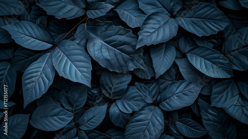 Textures of abstract black leaves for tropical leaf background. Flat lay  dark nature concept  tropical leaf generative ai
