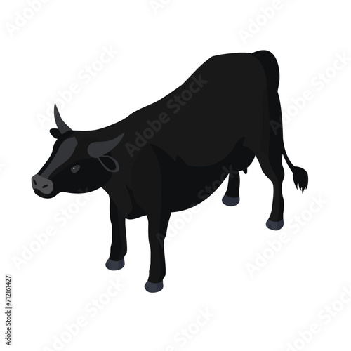 isometric 3d vector illustration of Black cow. Isometric animal cow,. Isolated on white background.