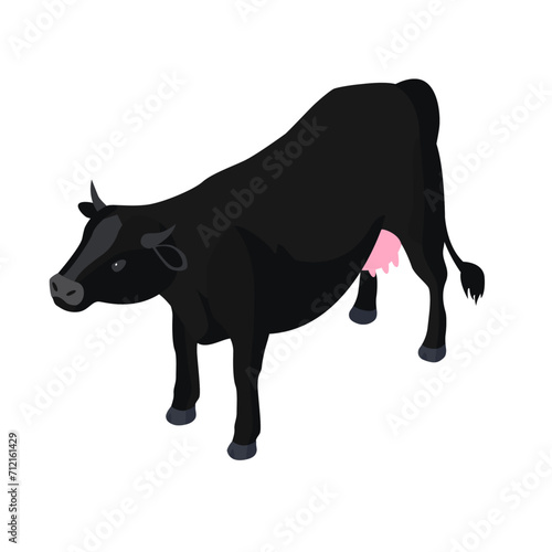 isometric 3d vector illustration of Black cow. Isometric animal cow . Isolated on white background.