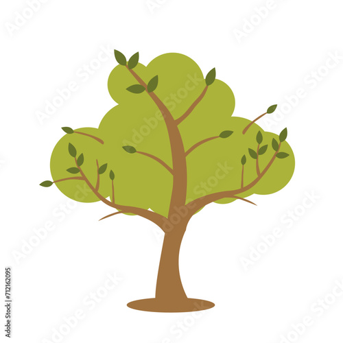 Green trees flat vector illustration. Spring time trees. Natural forest plant.  