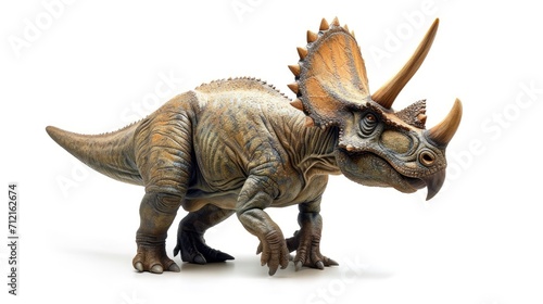 Triceratops isolated on white background © shooreeq