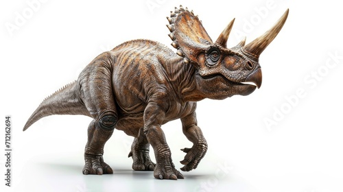 Triceratops isolated on white background