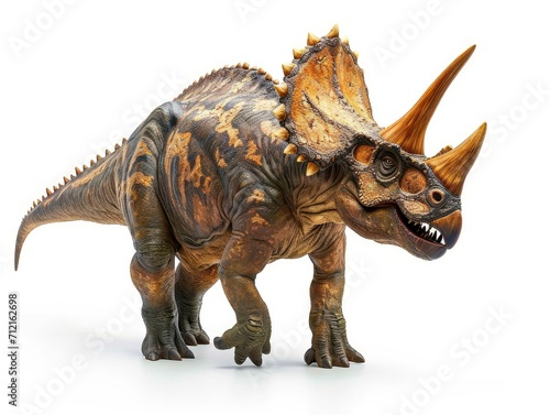 Triceratops isolated on white background © shooreeq