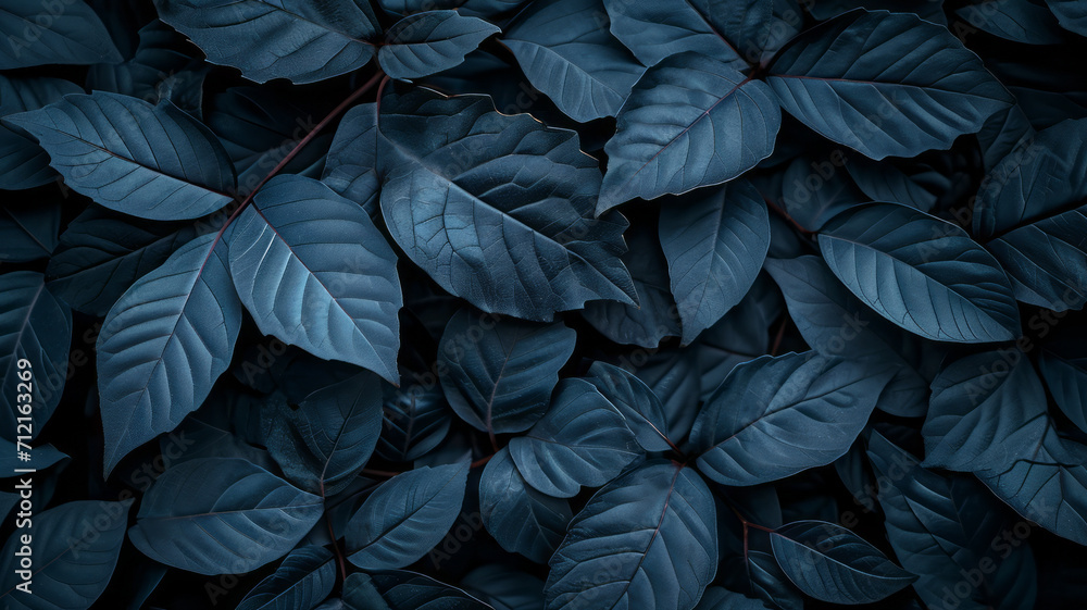 Textures of abstract black leaves for tropical leaf background. Flat lay, dark nature concept, tropical leaf,generative ai Textures of abstract black leaves for tropical leaf background. Flat lay, dark nature concept, tropical leaf,generative ai