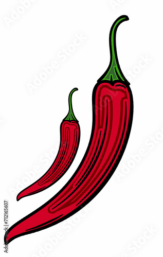 red chili  drawign  photo