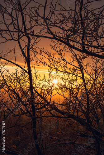 Wschód słońca pomiędzy drzewami na szczycie Góry Ślęża w Polsce. © Kacper