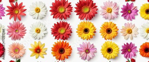 Set of different beautiful flowers on white background. Banner design