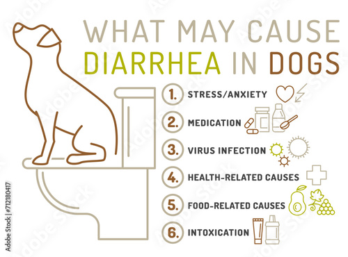 What may cause diarrhea in dogs. Useful medical infographic with line icons.
