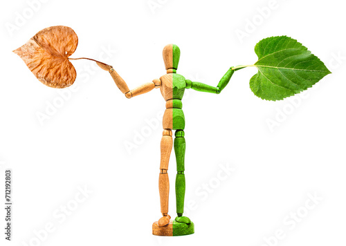 Holzfigur mit verdorrter und Grüner Seite isoliert