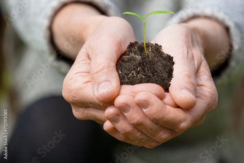 Erde mit Sprössling in den Handen einer Seniorin