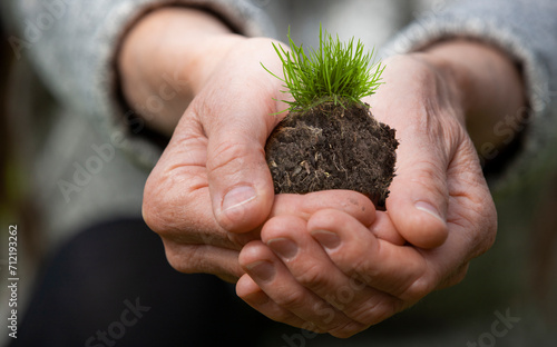 Erde mit Gras in den Handen einer Seniorin