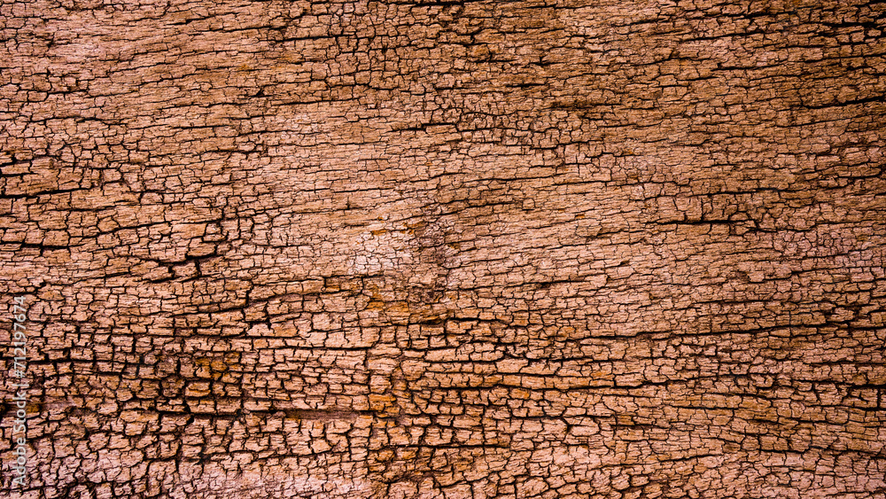 Obraz premium old grunge dark textured wooden background