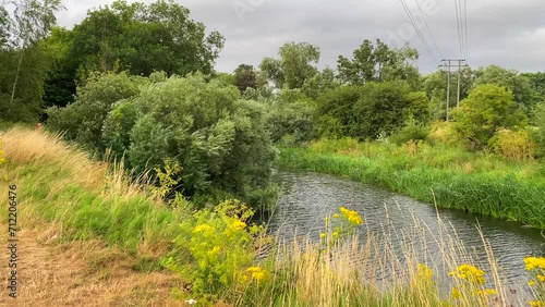 Beautiful river with green fields, tall grass and forest bushes in Chippenham England, windy weather, 4K shot photo