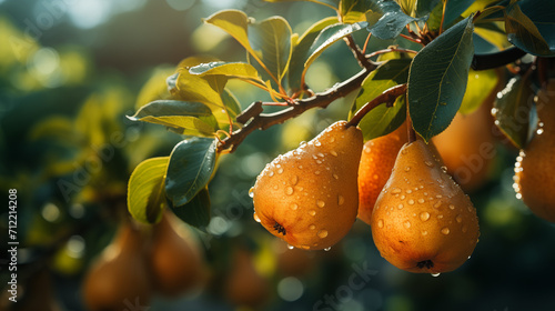 Ripe pears growing on a branch with green leaves in the garden. Sunny day. Bokeh effect. AI generative