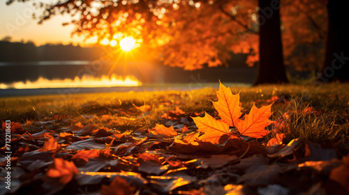 Autumn leaves on the ground with greenery and sunset