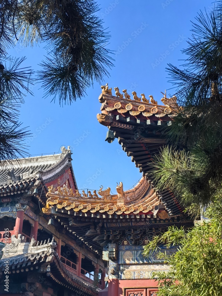 Naklejka premium chinese temple
