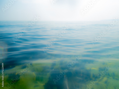 Sea surface with waves and algaes underwater