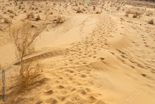 Sand dunes in Kyzylkum Desert  Uzbekistan