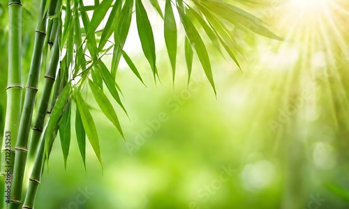 abstract green background with bamboo leaves, blurred bokeh