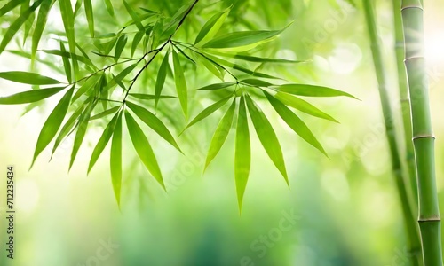 abstract green background with bamboo leaves, blurred bokeh