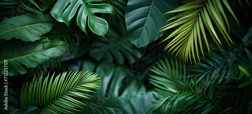 jungle background, leaves