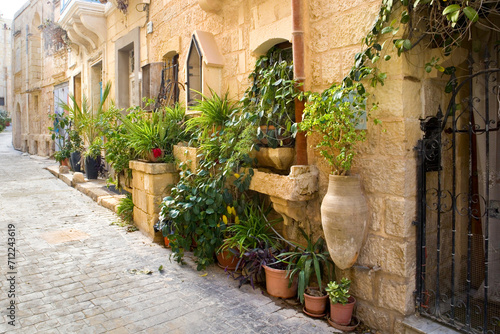 Fototapeta Naklejka Na Ścianę i Meble -  Narrow historical street in downtown of Rabat, Malta