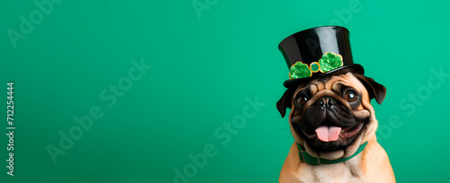 St. Patrick's Day. Pug dog in a leprechaun hat on a green background. St Patricks day pug puppy dog sitting down with black top hat. Copy space.