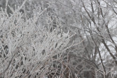 설원, snowy fields, snow covered fields © 락희 권