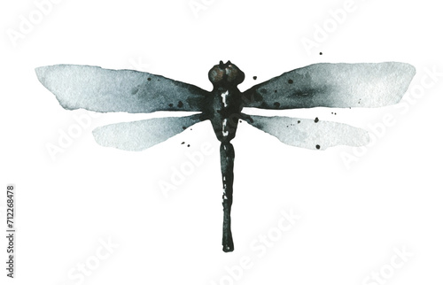Watercolor grunge style gray, blue and black dragonfly in front. Hand drawn illustration. 