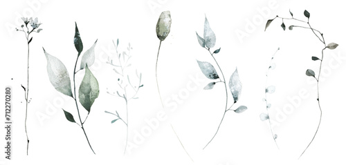 Watercolor floral set of green, gray, blue wild flowers, herbs, spikelets, branches, twigs. Traced vector drawing.