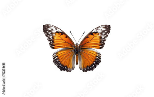 Whimsical Flying Toy Butterfly on Transparent Background