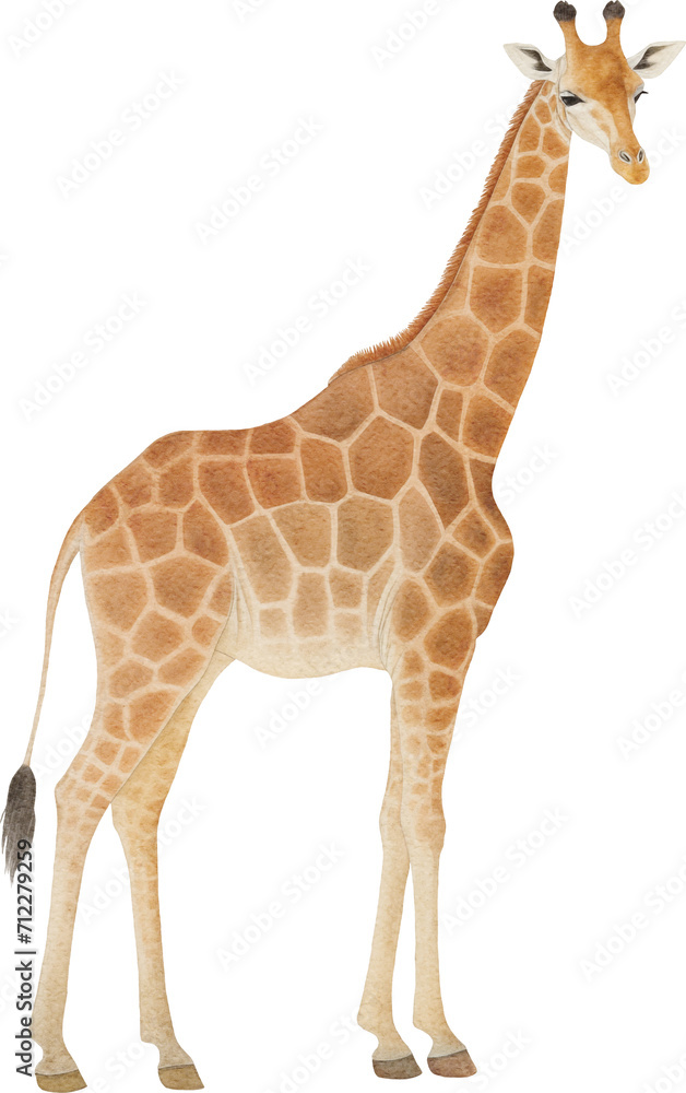 Obraz premium Giraffe illustration created with Generative AI technology