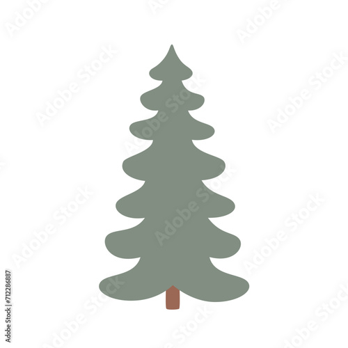 Evergreen coniferous tree spruce. Isolated forest pine tree.
