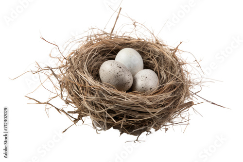Bird Nest With Eggs Isolated On Transparent Background