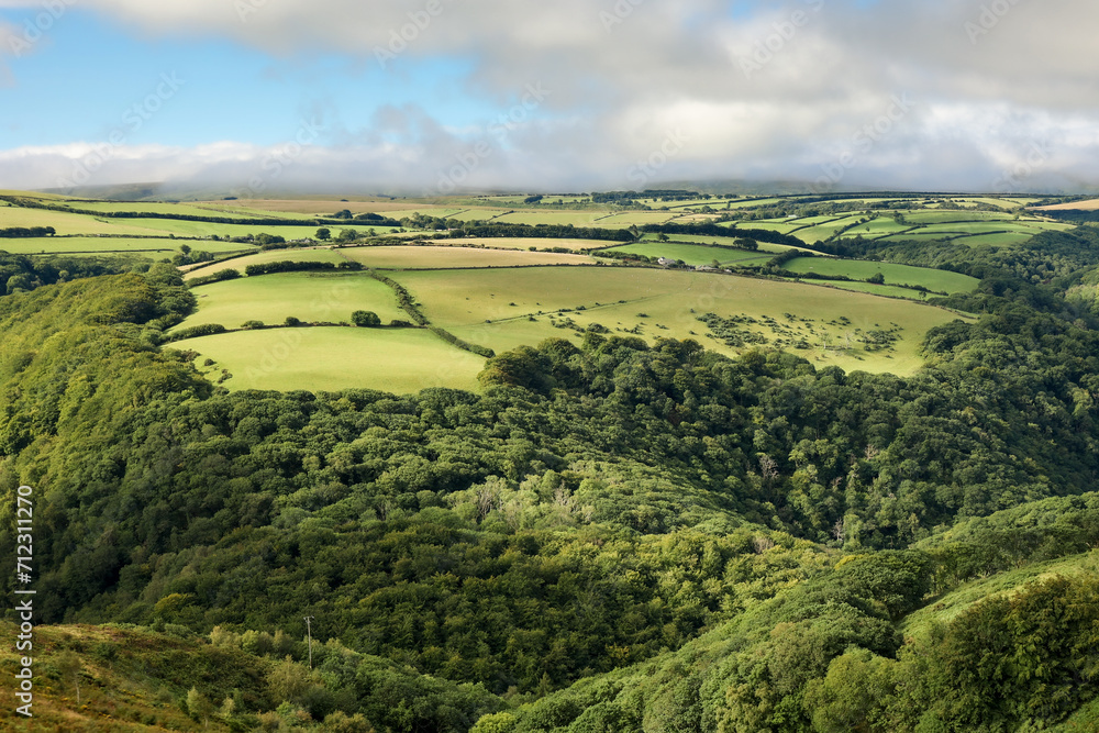 Top view of meadows and woodlands in Exmoor National Park, England
