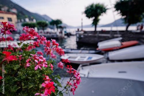 Pot with pink flowers on waterfront promenade