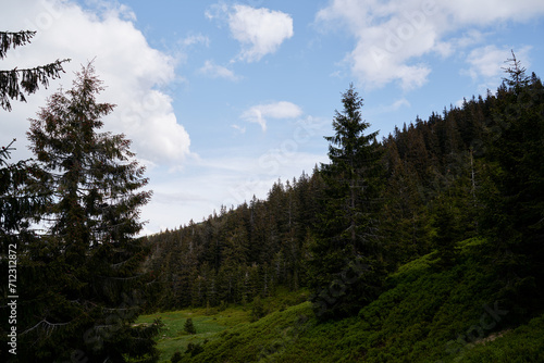 Fototapeta Naklejka Na Ścianę i Meble -  Beautiful mountain landscape with green forest. Carpathians, Ukraine.Beautiful mountain landscape with green forest. Carpathians, Ukraine.