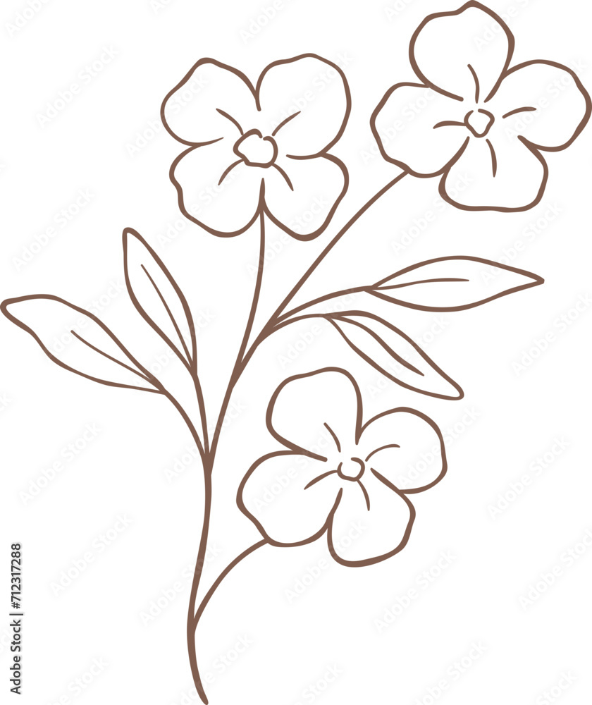 Line Drawing Flower Line Drawing Flower