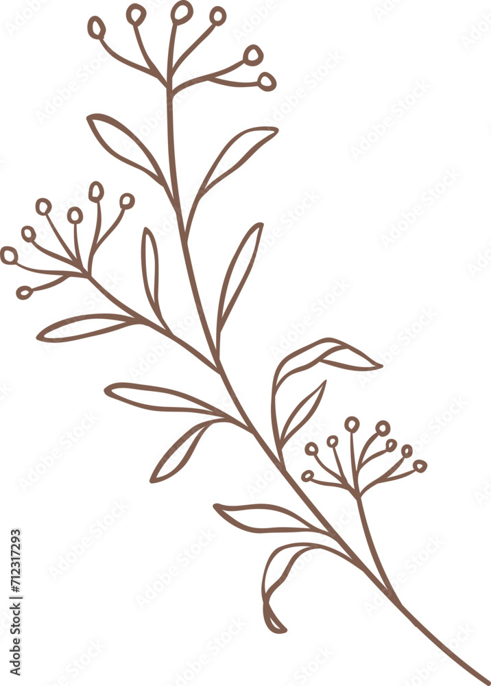 Line Drawing Leaves Branch