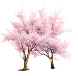 Rich and bright pink cherry blossom tree illustration
