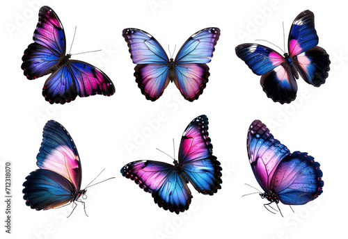 set of blue and pink butterflies isolated